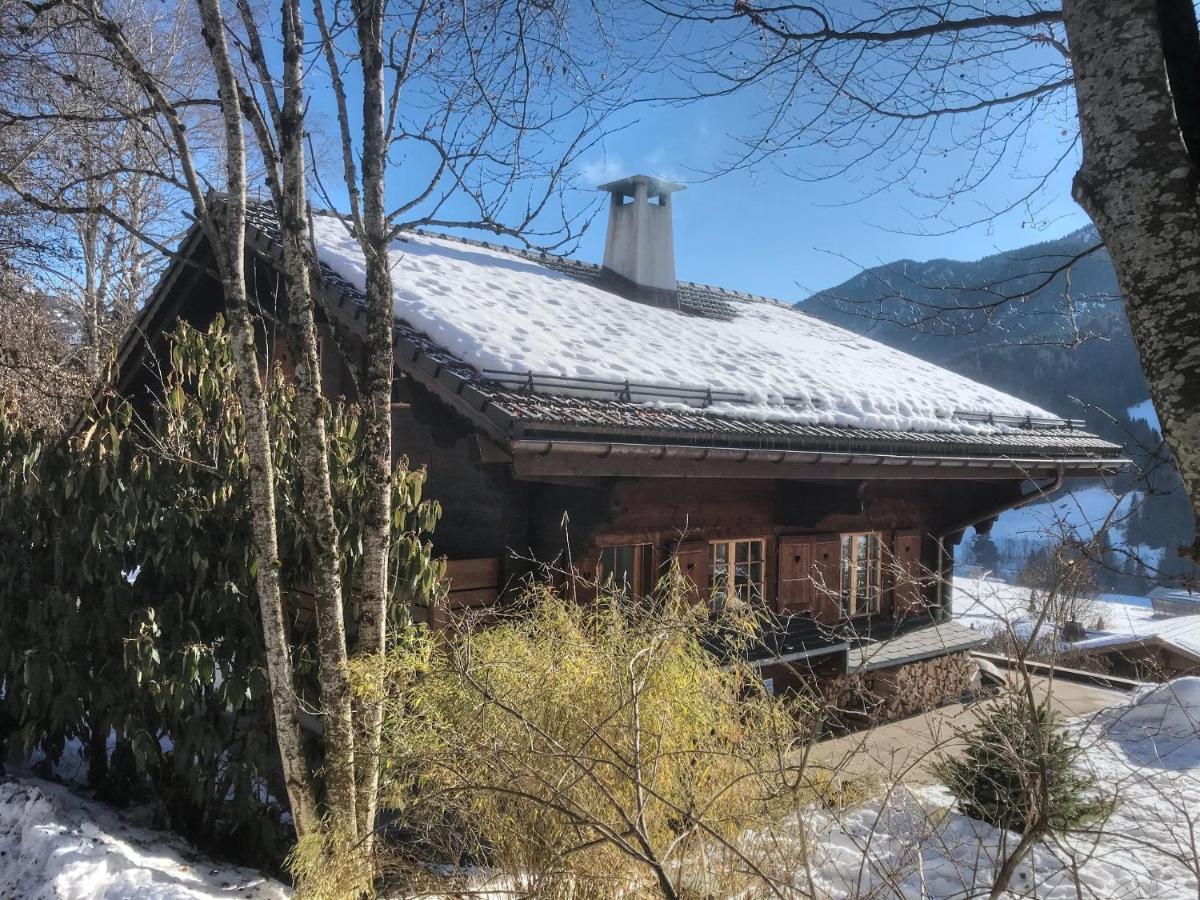 Les Jumelles Villa Gstaad Ngoại thất bức ảnh