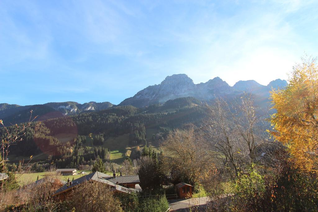 Les Jumelles Villa Gstaad Phòng bức ảnh