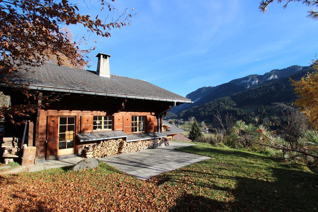 Les Jumelles Villa Gstaad Phòng bức ảnh